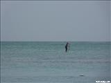 Isla Verde Beach - CAROLINA